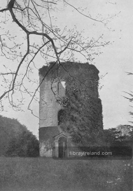 queen elizabeth first castle. The Tower of Shane#39;s Castle,