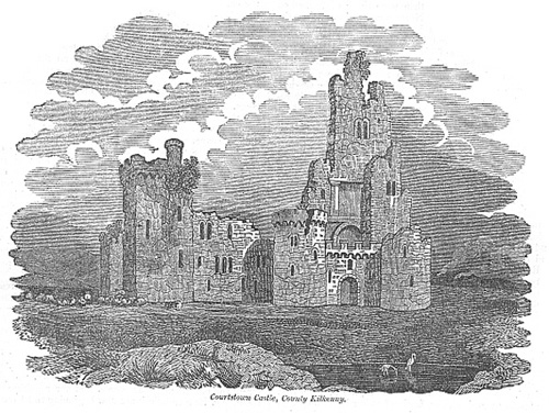 Courtstown Castle, Kilkenny