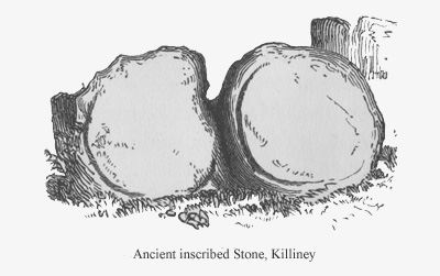 Ancient inscribed Stone, Killiney