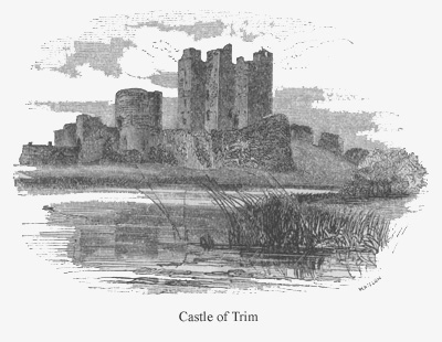 Castle of Trim