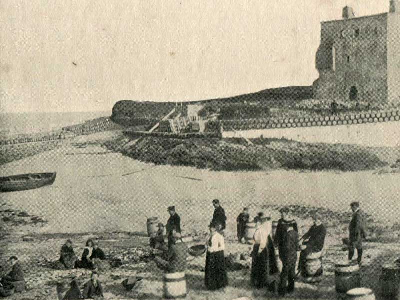 Clare Island Castle - east view