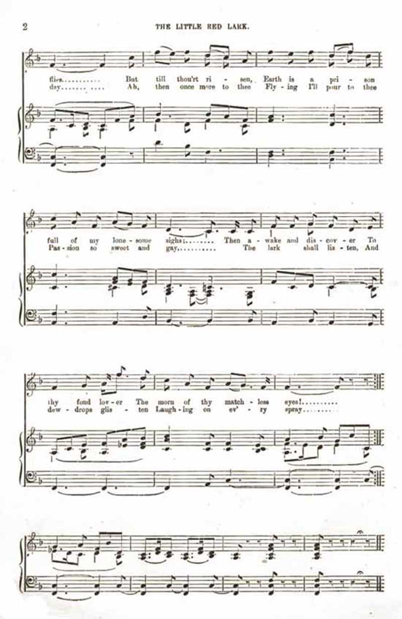 Music score to The Little Red Lark