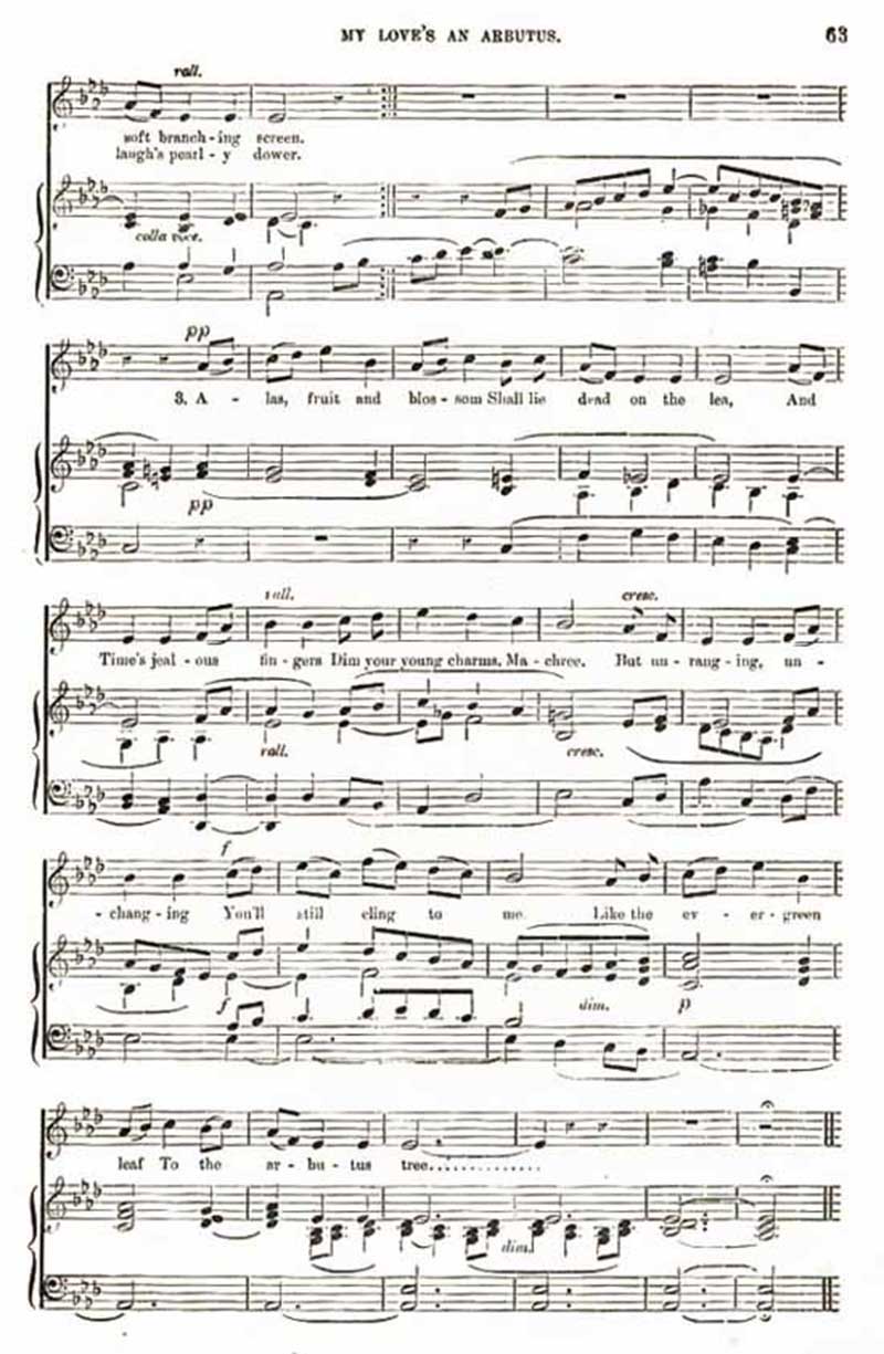 Music score to My Love's an arbutus