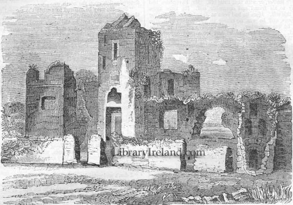 Liscarroll Castle, County Cork